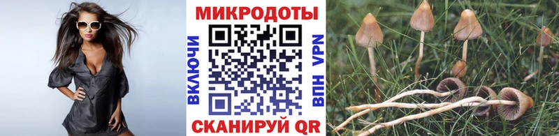 Псилоцибиновые грибы Magic Shrooms  даркнет состав  Чегем  hydra маркетплейс 